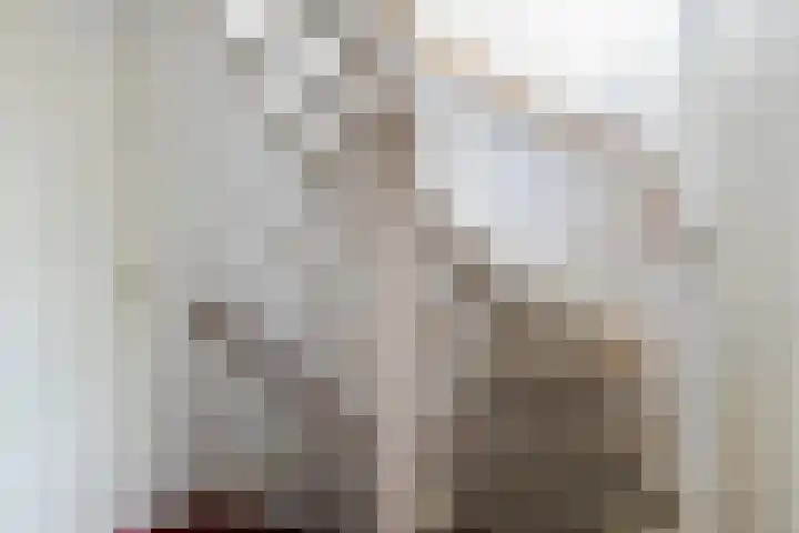 Skûtsje 43 Woerden thumbnail 34