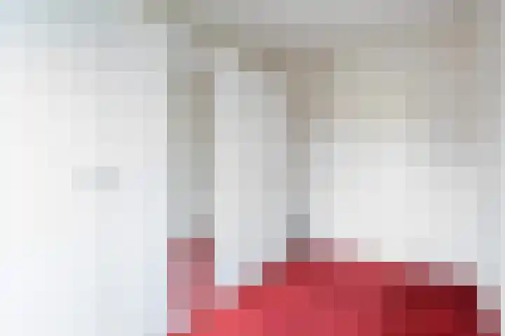 Skûtsje 43 Woerden thumbnail 36