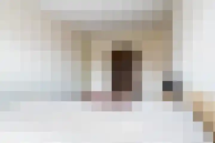 Skûtsje 43 Woerden thumbnail 40