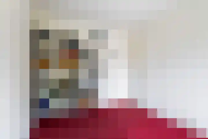 Skûtsje 43 Woerden thumbnail 44