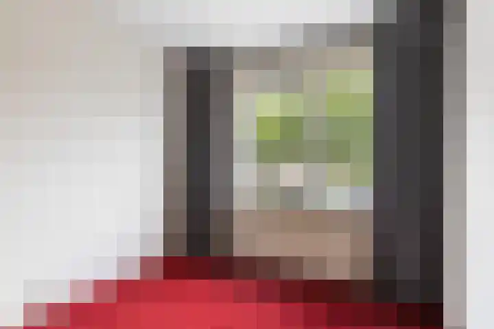 Skûtsje 43 Woerden thumbnail 45