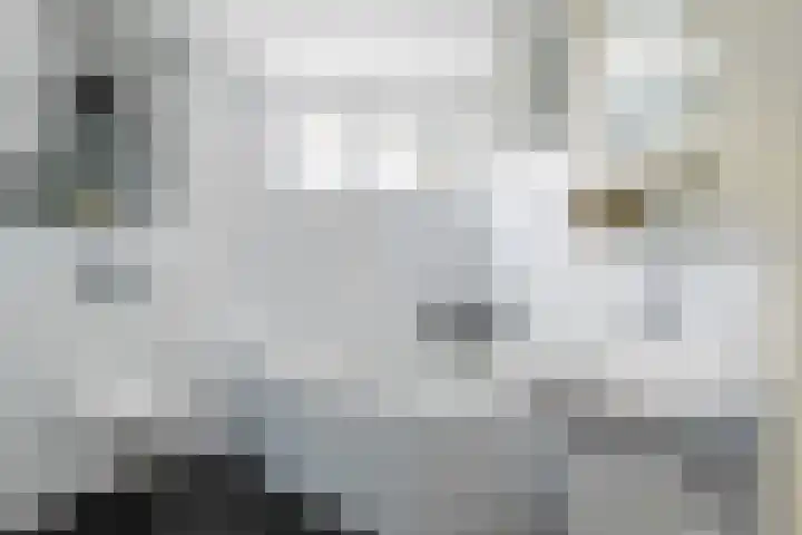 Skûtsje 43 Woerden thumbnail 46
