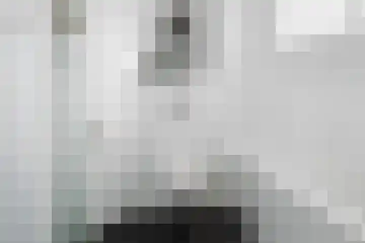 Skûtsje 43 Woerden thumbnail 47