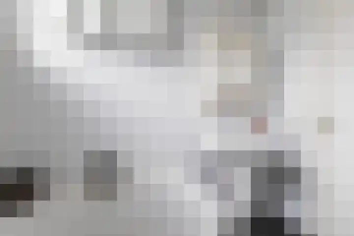 Skûtsje 43 Woerden thumbnail 48