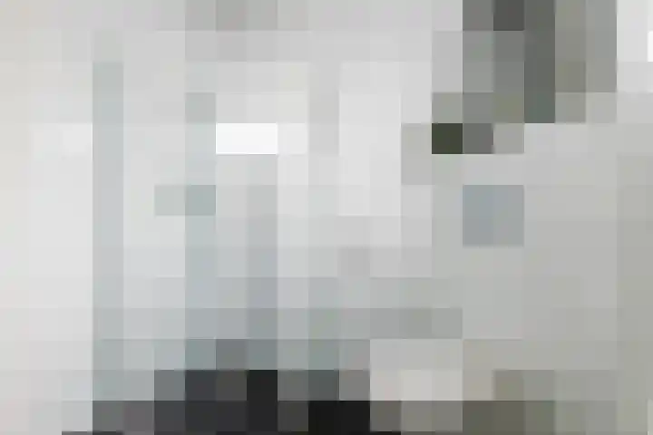 Skûtsje 43 Woerden thumbnail 49