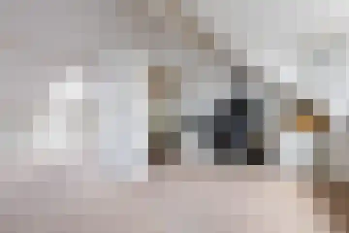 Skûtsje 43 Woerden thumbnail 55