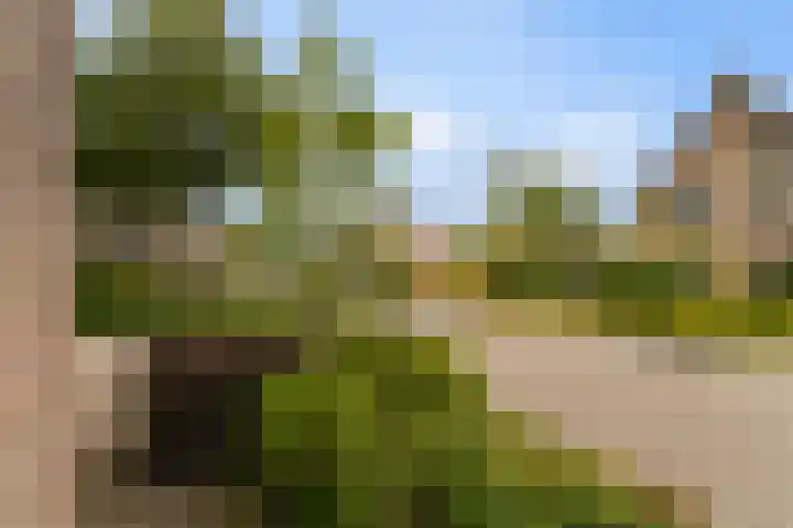 Skûtsje 43 Woerden thumbnail 56