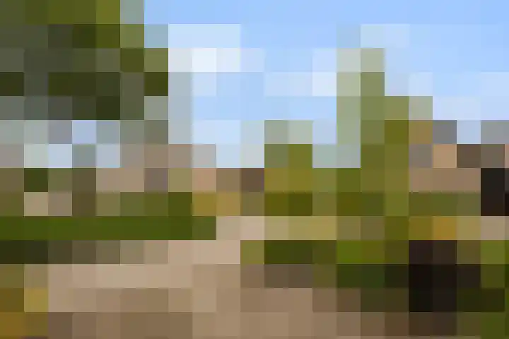 Skûtsje 43 Woerden thumbnail 57