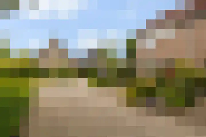 Skûtsje 43 Woerden thumbnail 58