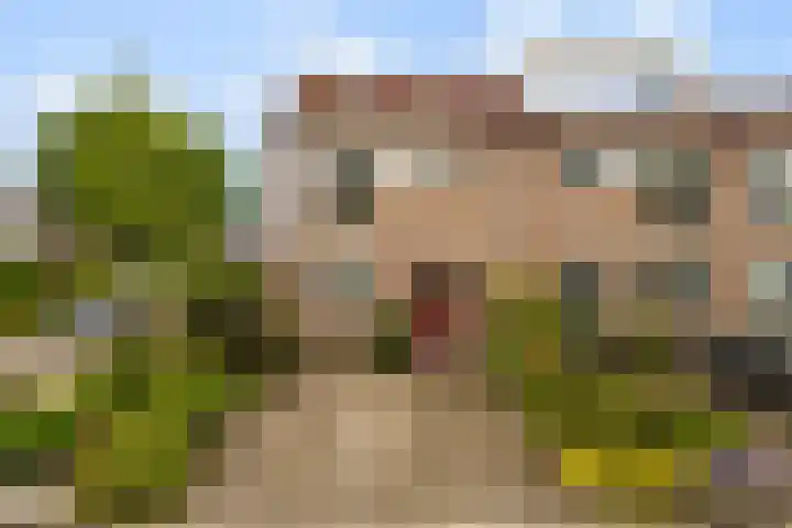 Skûtsje 43 Woerden thumbnail 60