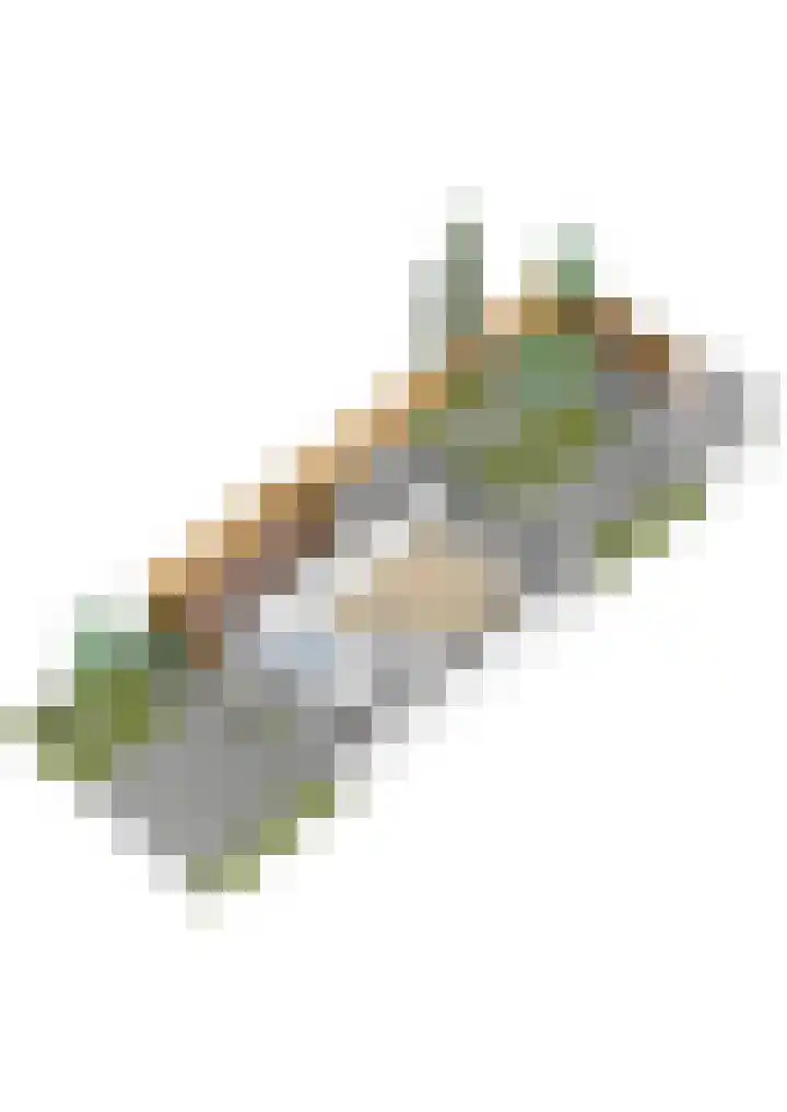 Skûtsje 43 Woerden thumbnail 68