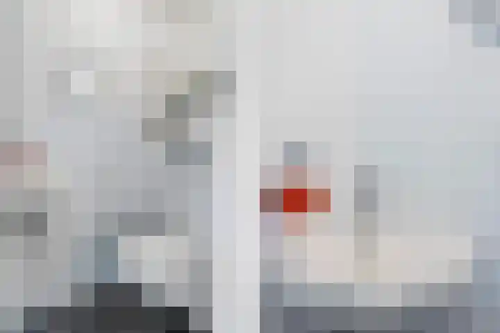 Skûtsje 43 Woerden thumbnail 7