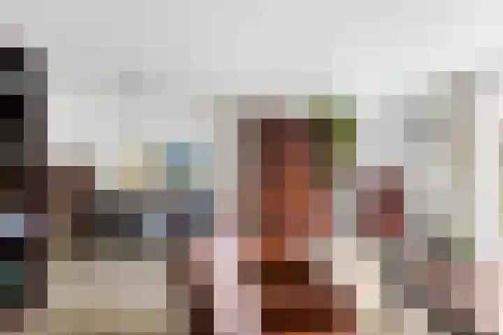 Skûtsje 43 Woerden thumbnail 9