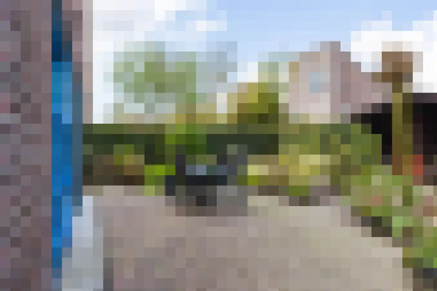 Skûtsje 44 Gorredijk thumbnail 13