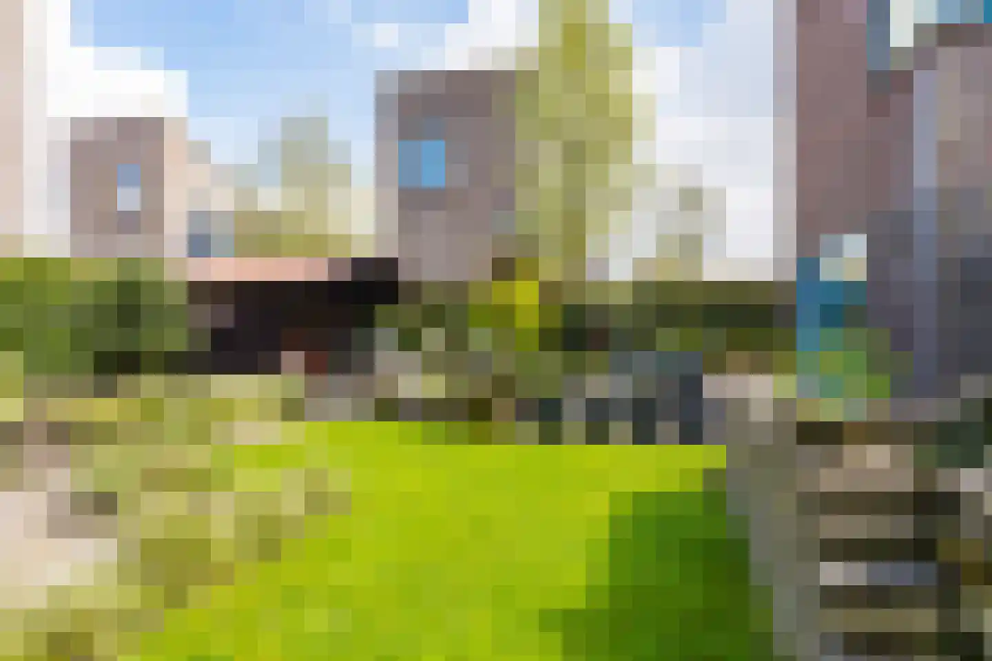 Skûtsje 44 Gorredijk thumbnail 14