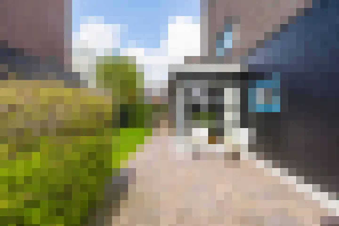 Skûtsje 44 Gorredijk thumbnail 39