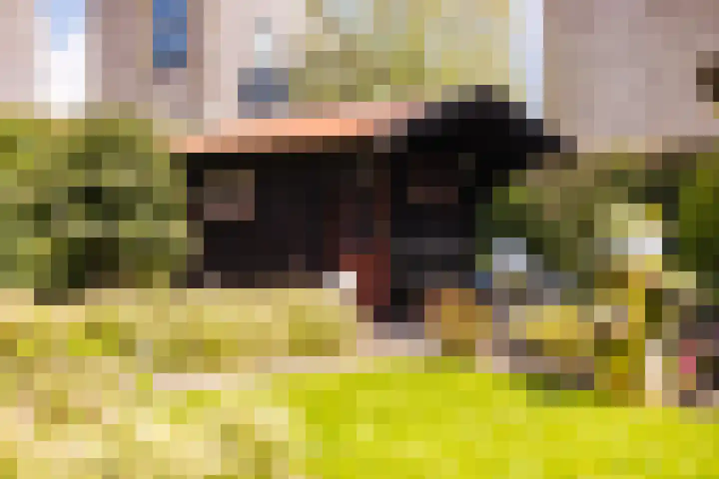 Skûtsje 44 Gorredijk thumbnail 42