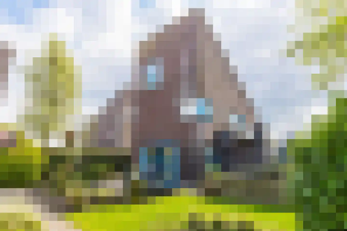 Skûtsje 44 Gorredijk thumbnail 44