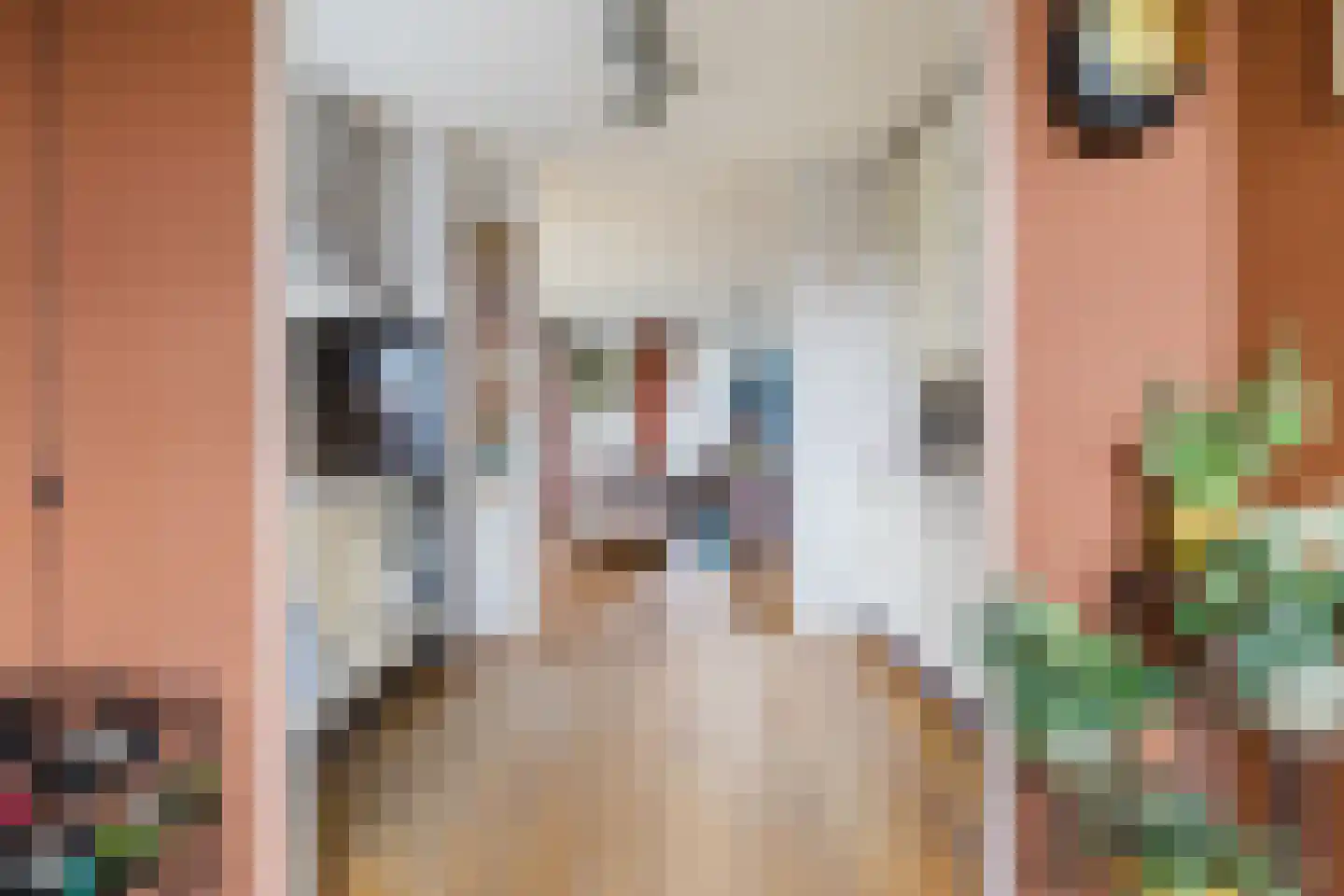 Skûtsje 44 Gorredijk thumbnail 7