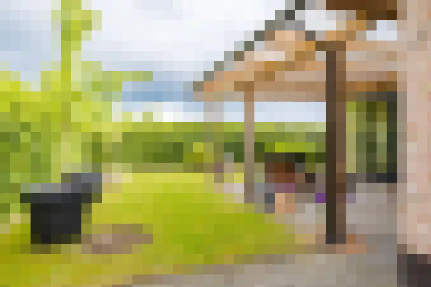 Skûtsje 47 Gorredijk thumbnail 13