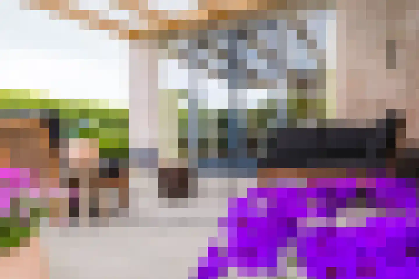 Skûtsje 47 Gorredijk thumbnail 14