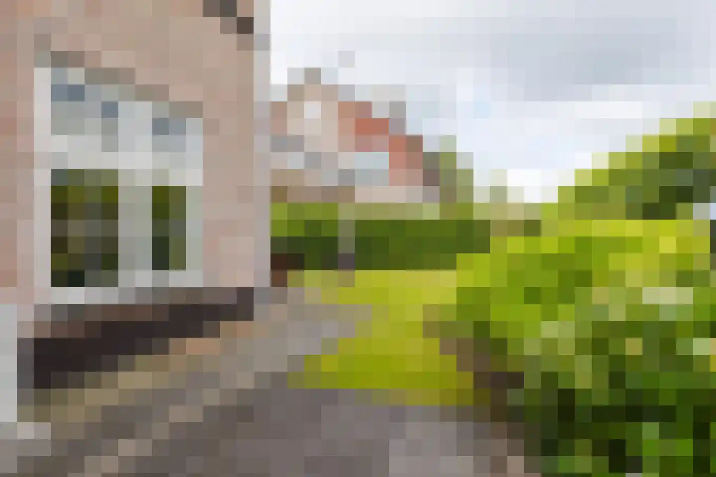 Skûtsje 47 Gorredijk thumbnail 18