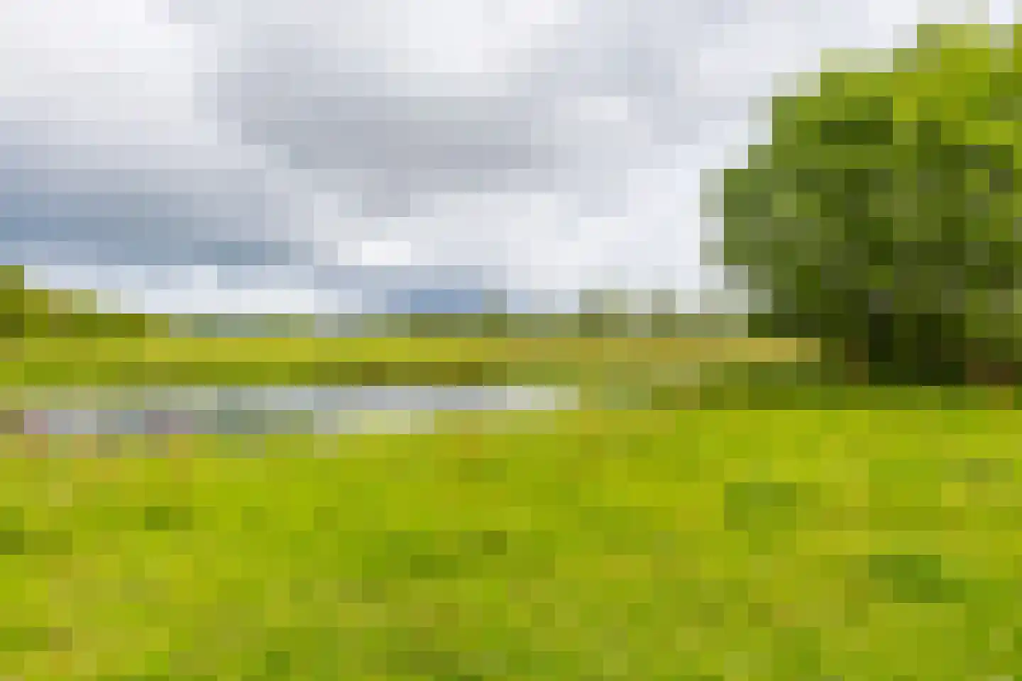 Skûtsje 47 Gorredijk thumbnail 23
