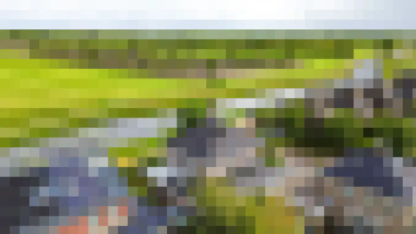 Skûtsje 47 Gorredijk thumbnail 9