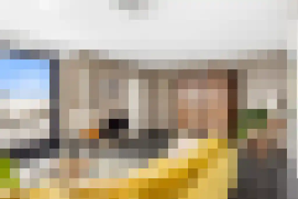 Skûtsje 60 Gorredijk thumbnail 11