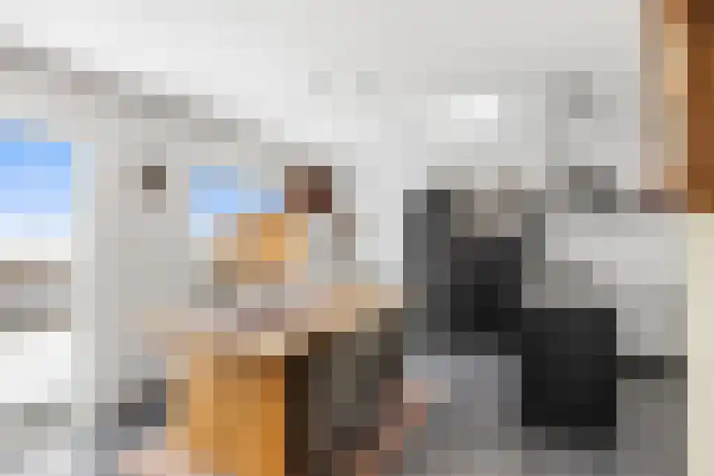 Skûtsje 60 Gorredijk thumbnail 16