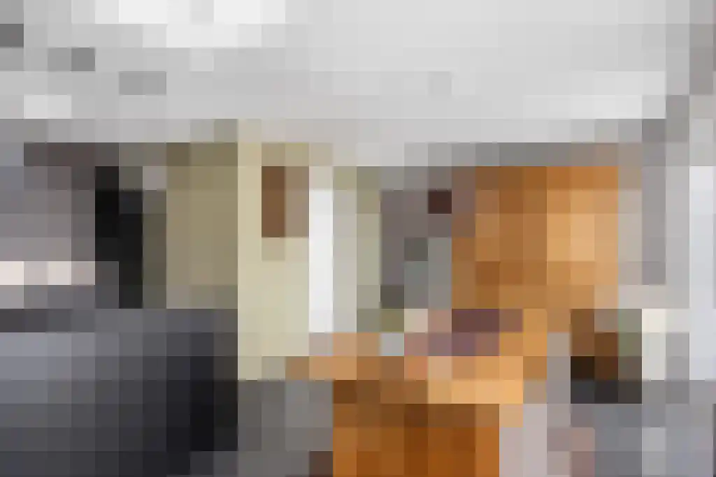 Skûtsje 60 Gorredijk thumbnail 17