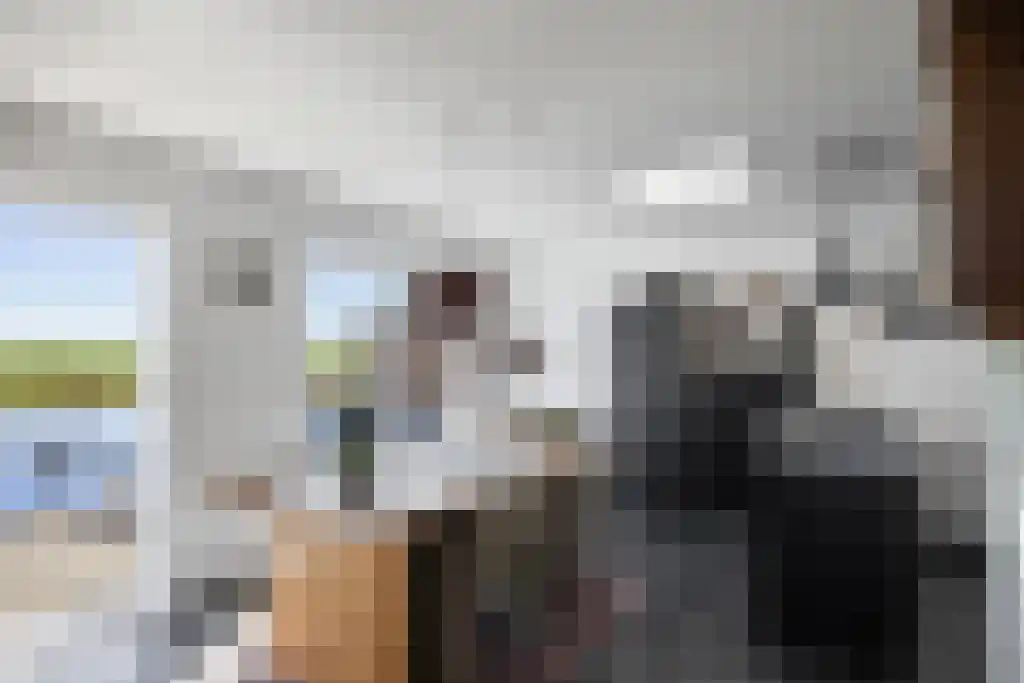 Skûtsje 60 Gorredijk thumbnail 18