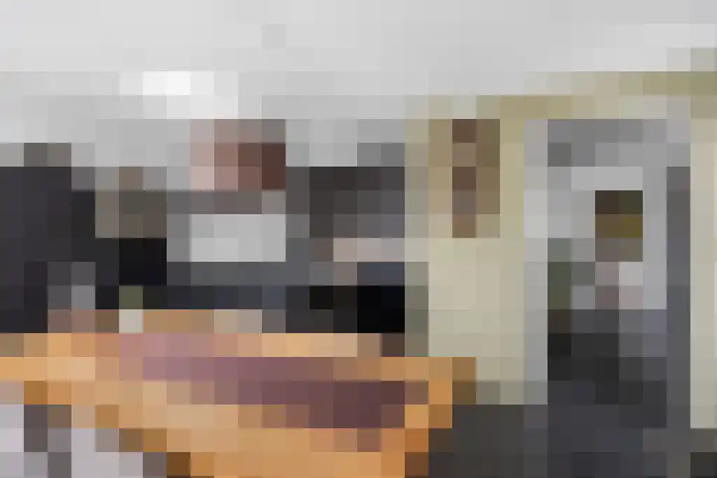 Skûtsje 60 Gorredijk thumbnail 19