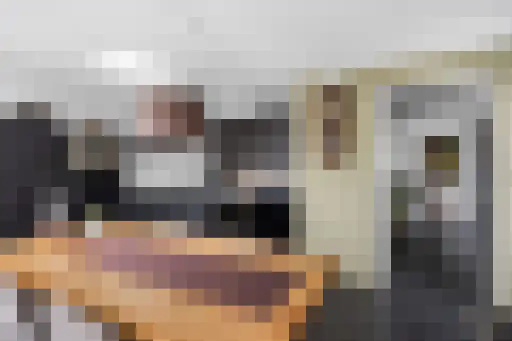 Skûtsje 60 Gorredijk thumbnail 21