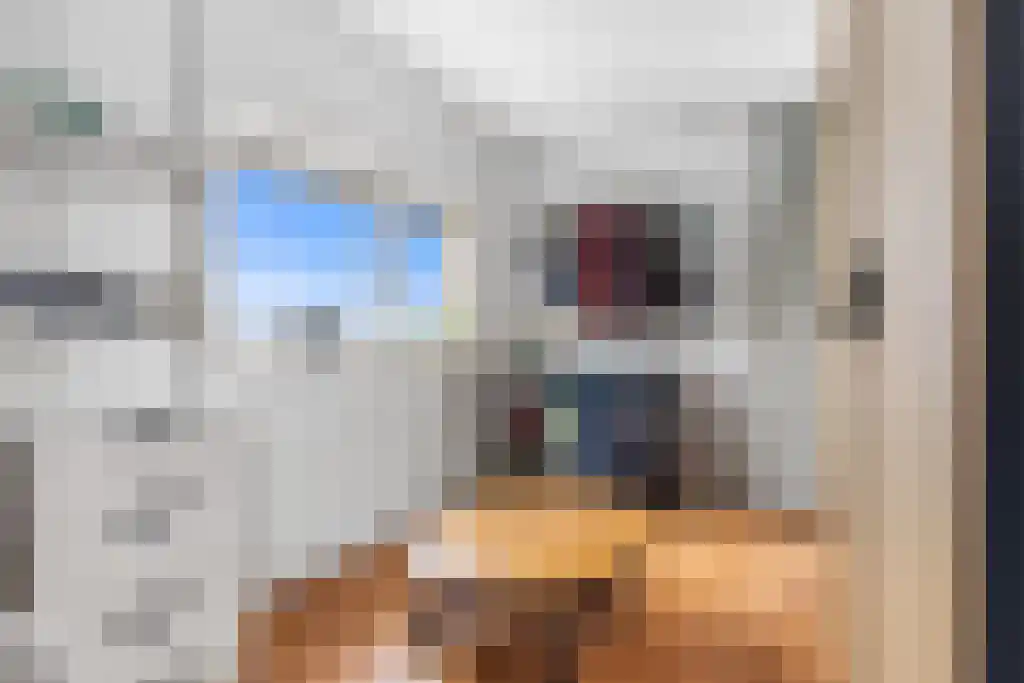 Skûtsje 60 Gorredijk thumbnail 24