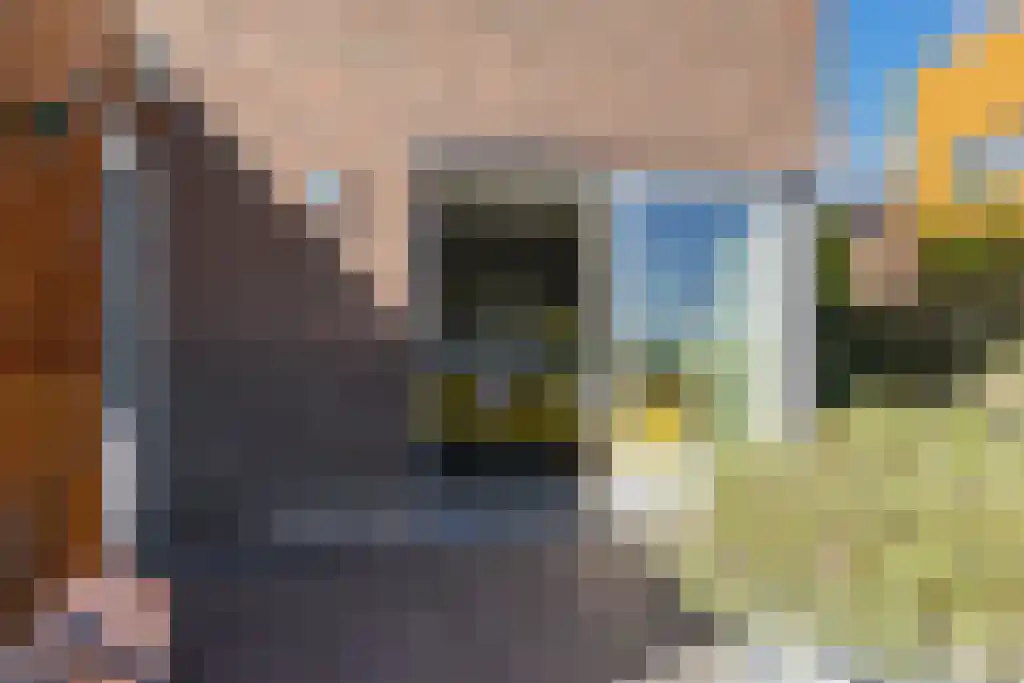 Skûtsje 60 Gorredijk thumbnail 24