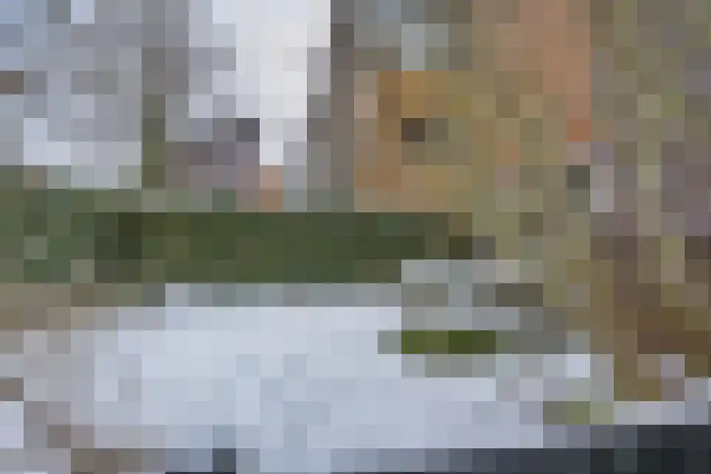 Skûtsje 60 Gorredijk thumbnail 37