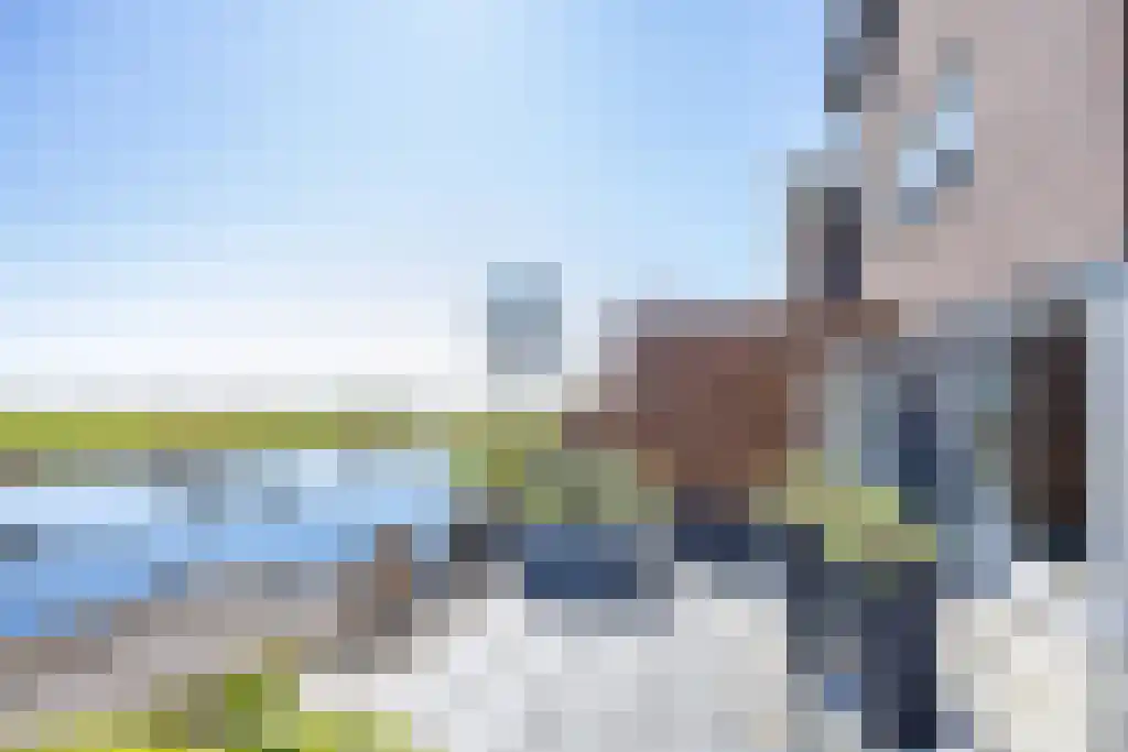 Skûtsje 60 Gorredijk thumbnail 39