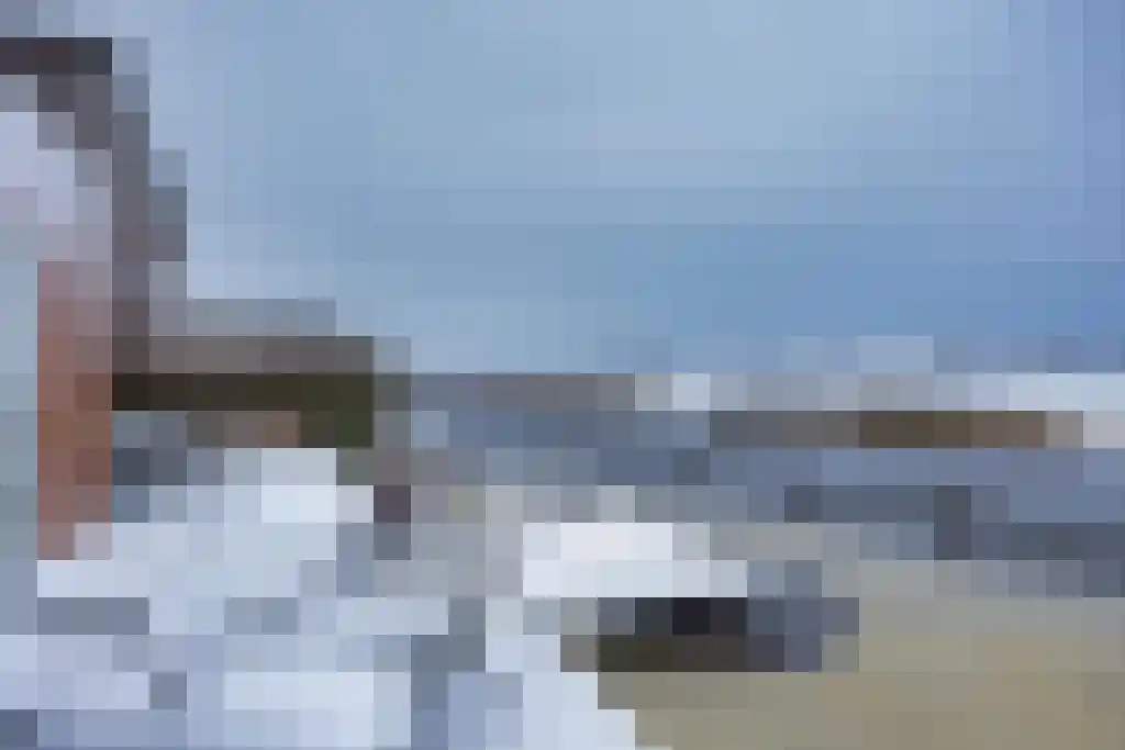 Skûtsje 60 Gorredijk thumbnail 4
