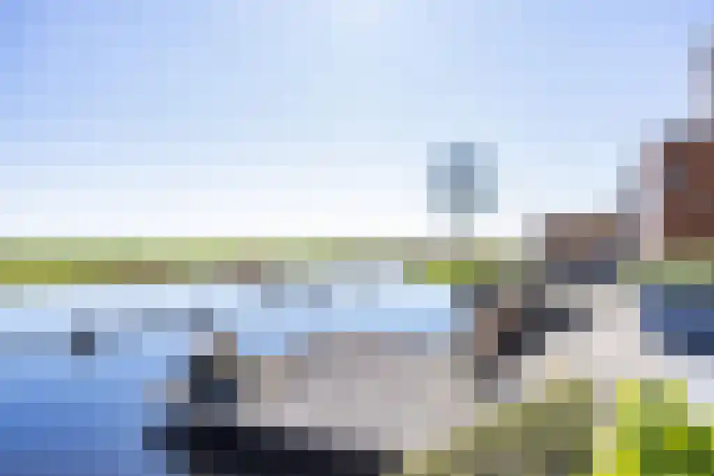 Skûtsje 60 Gorredijk thumbnail 42