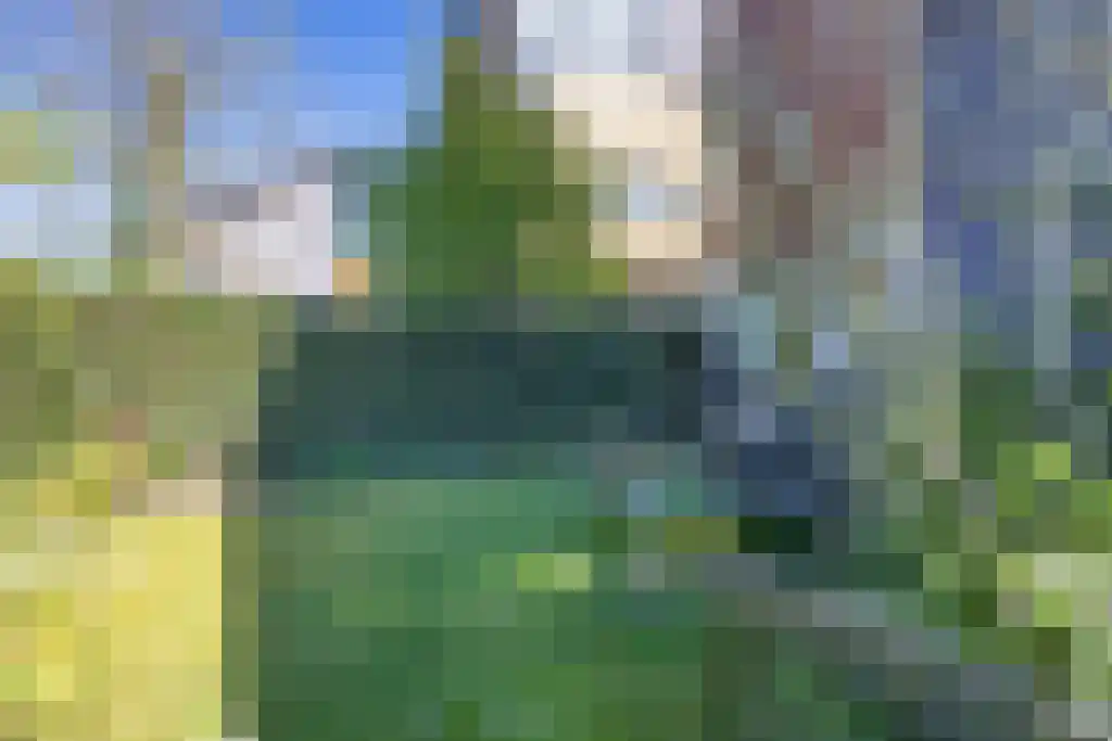Skûtsje 60 Gorredijk thumbnail 47