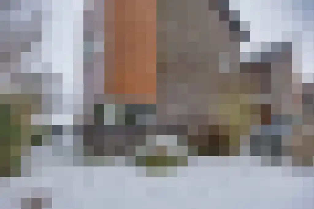 Skûtsje 60 Gorredijk thumbnail 47