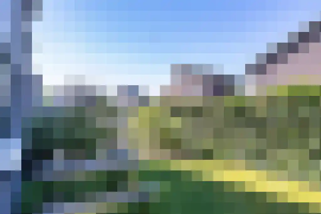 Skûtsje 60 Gorredijk thumbnail 50