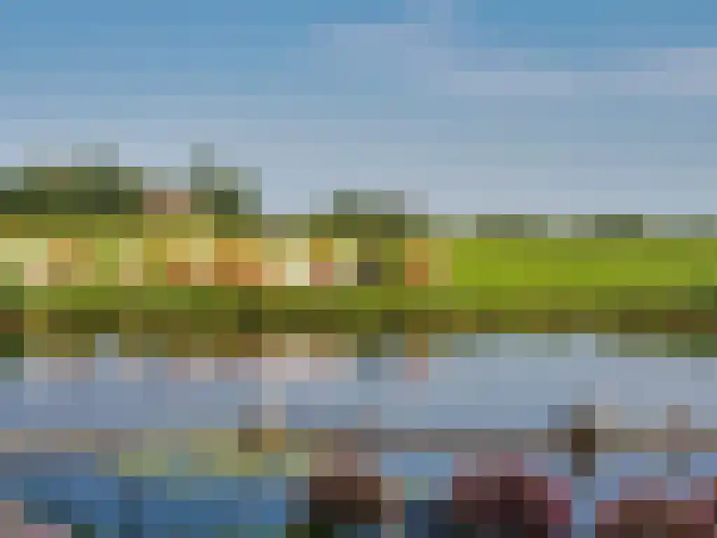 Skûtsje 60 Gorredijk thumbnail 52