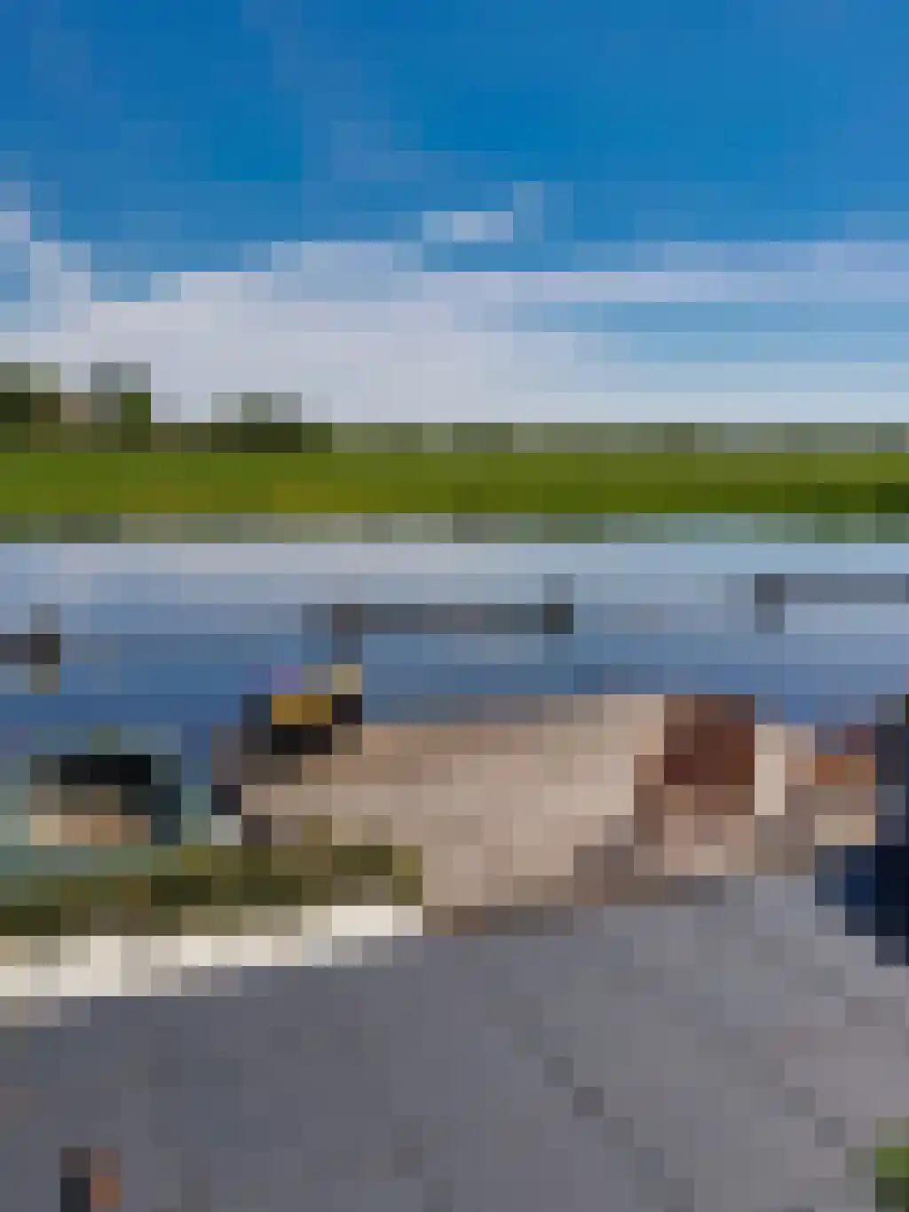 Skûtsje 60 Gorredijk thumbnail 54