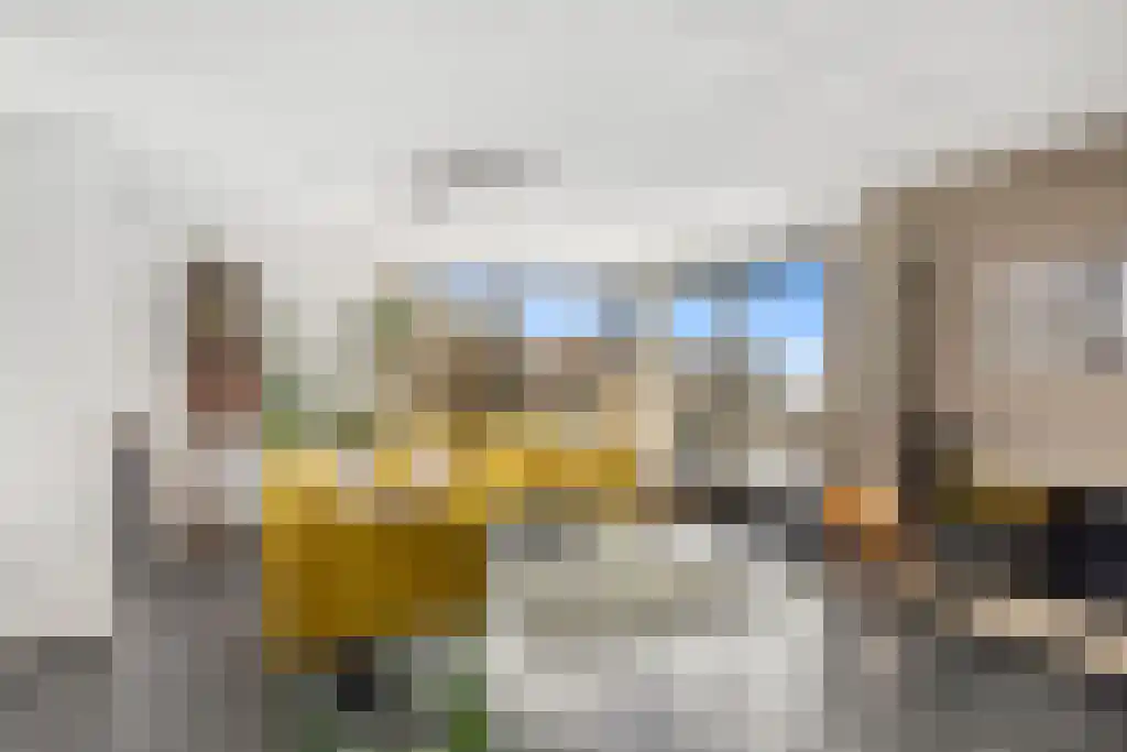 Skûtsje 60 Gorredijk thumbnail 9