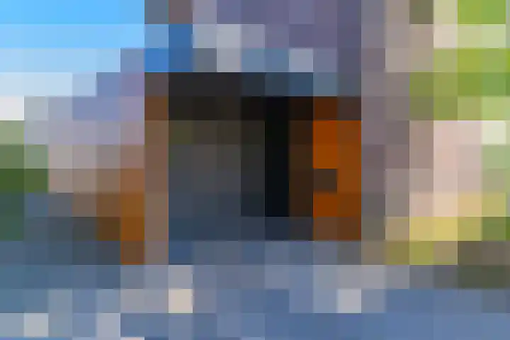Skûtsje 64 Gorredijk thumbnail 10