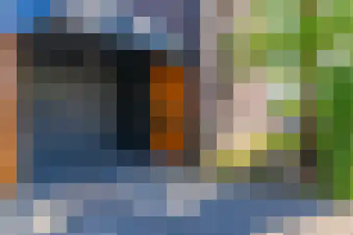 Skûtsje 64 Gorredijk thumbnail 11