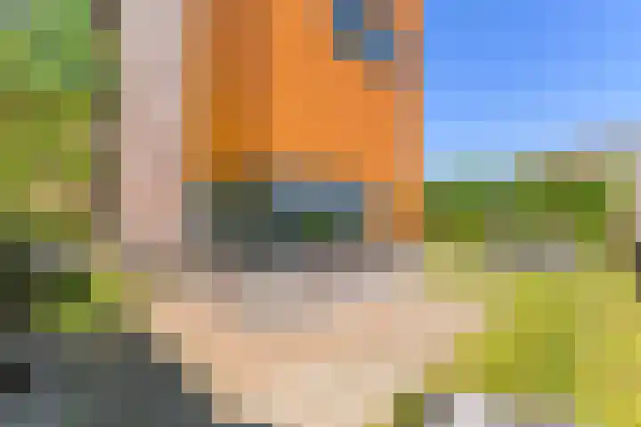 Skûtsje 64 Gorredijk thumbnail 12