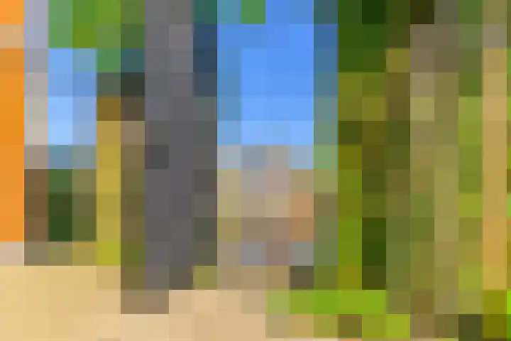 Skûtsje 64 Gorredijk thumbnail 17